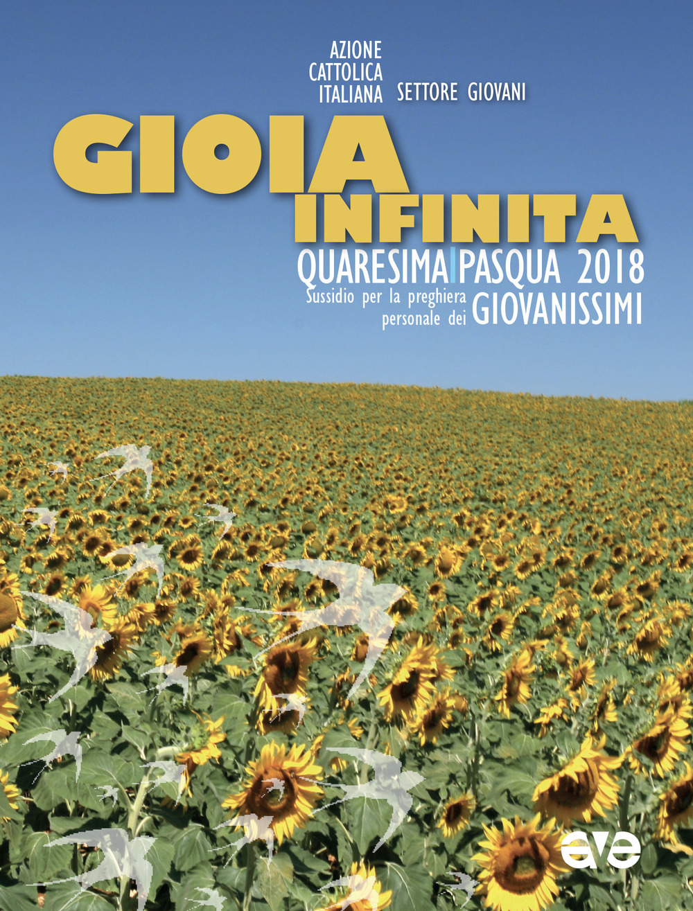 Gioia infinita. Avvento-Natale 2017/2018. Giovanissimi. Sussidio per la preghiera personale