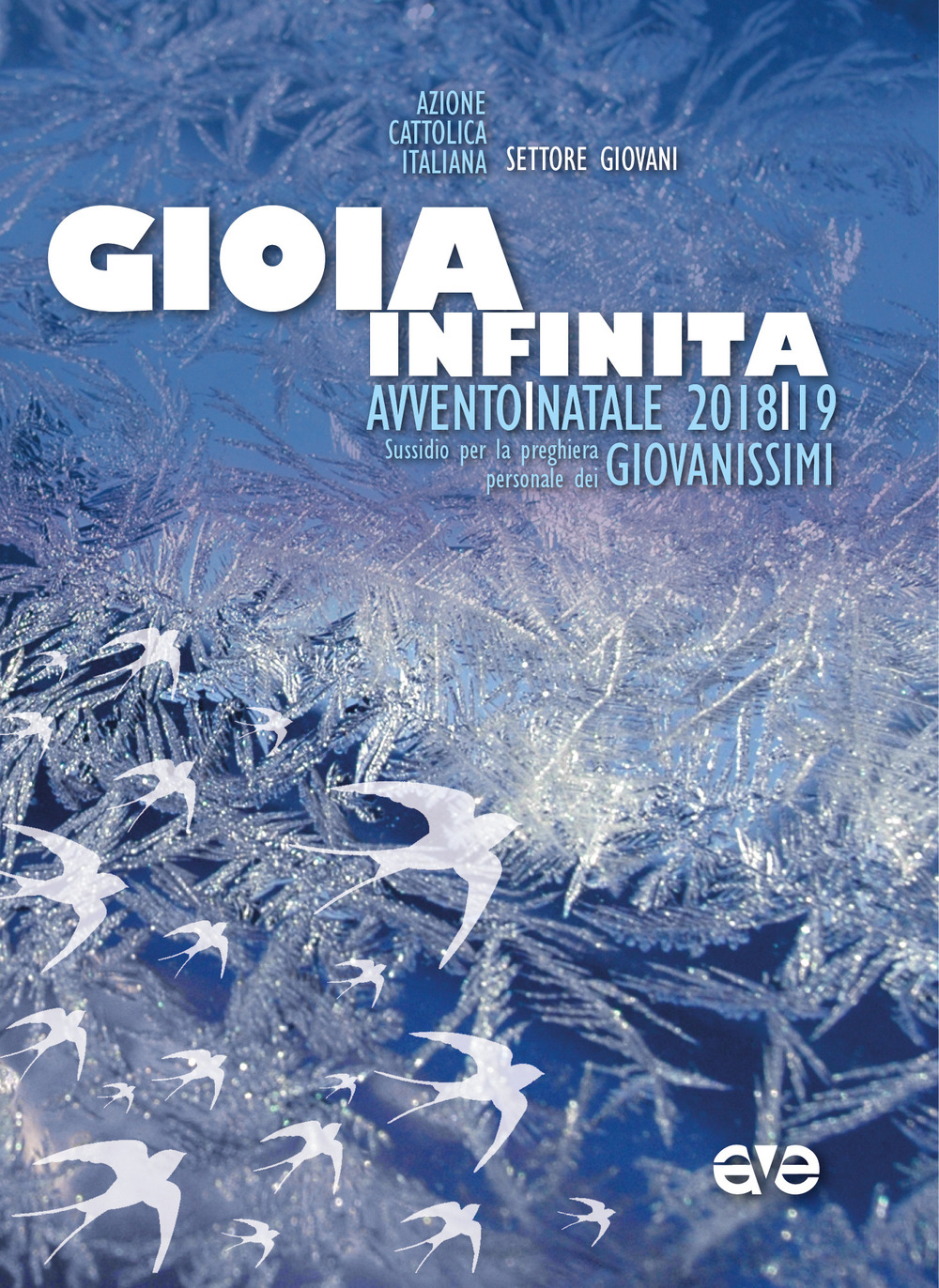 Gioia infinita. Avvento e Natale 2018/19. Sussidio per la preghiera personale dei giovanissimi