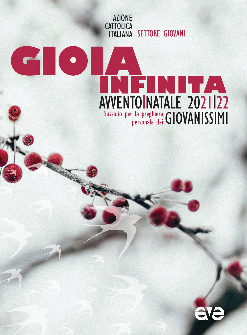 Gioia infinita. Avvento e Natale 2021 Giovanissimi. Sussidi per la preghiera personale