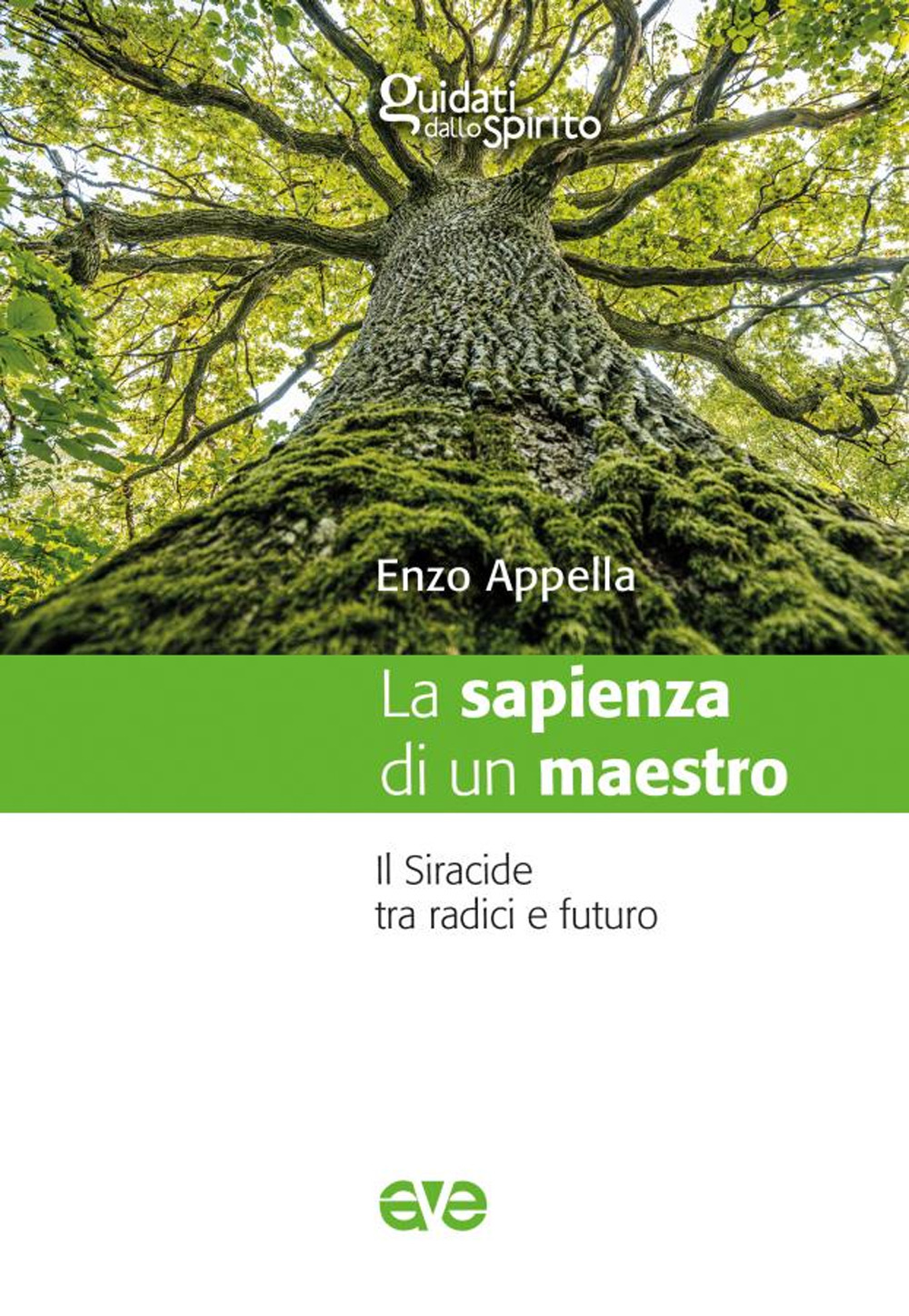 La sapienza di un maestro. Il Siracide tra radici e futuro