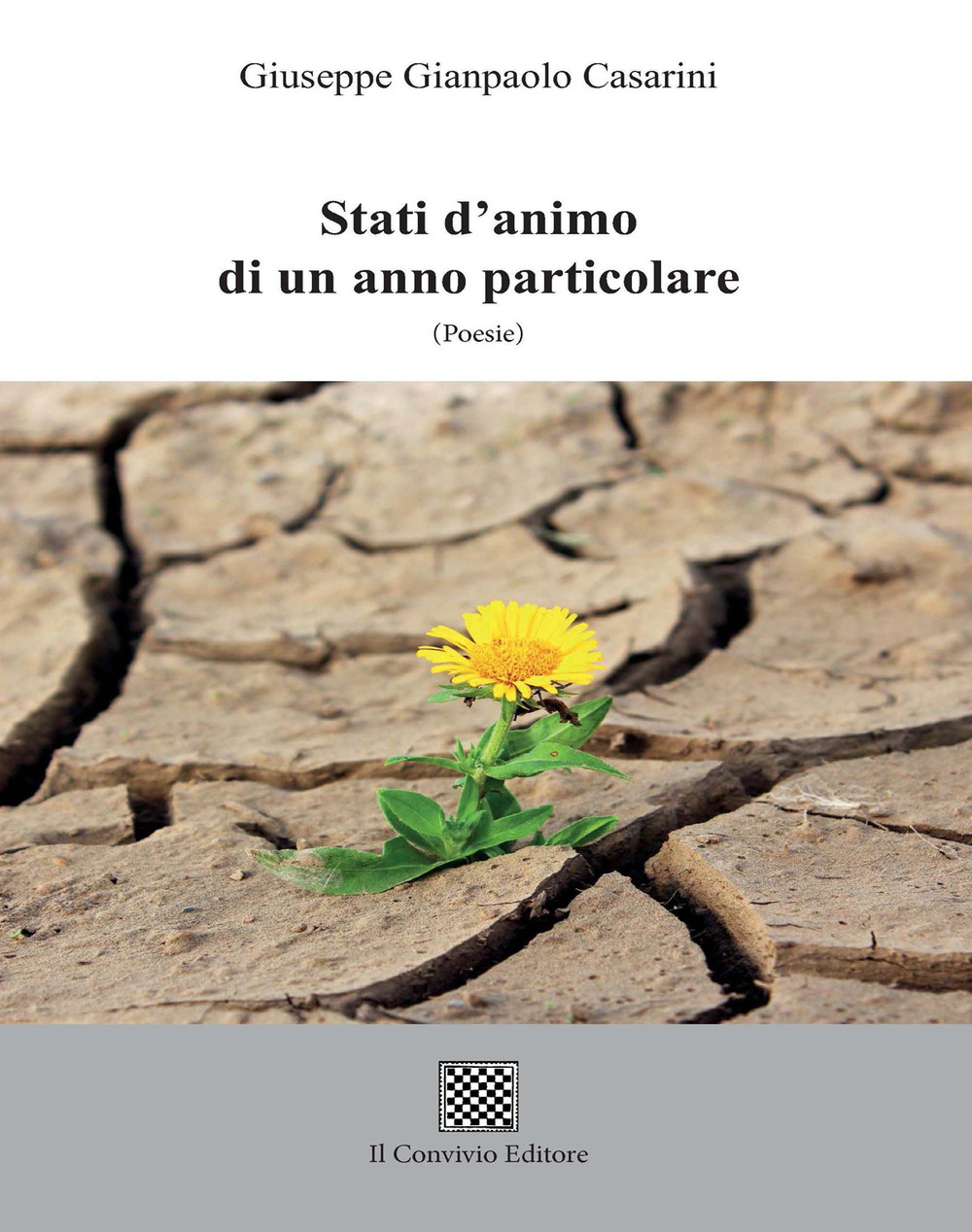 Stati d'animo di un anno particolare
