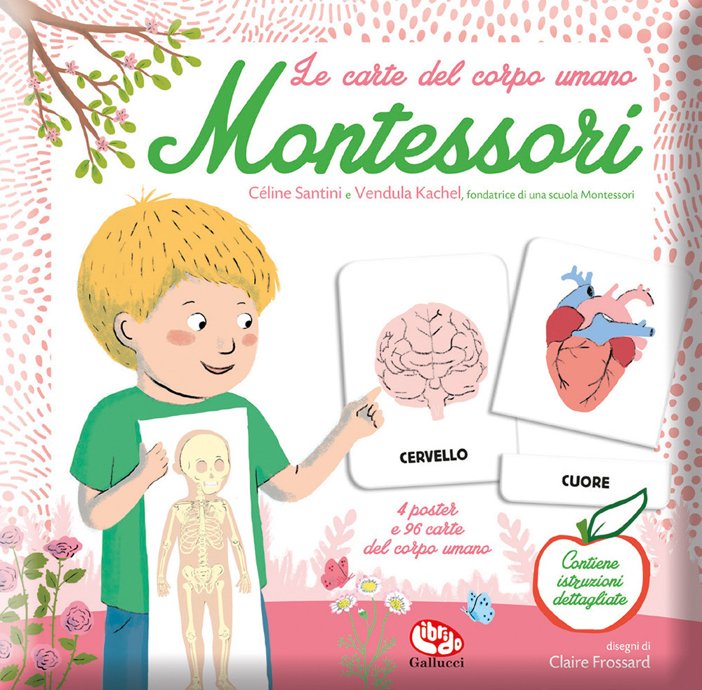 Le carte del corpo umano. Montessori