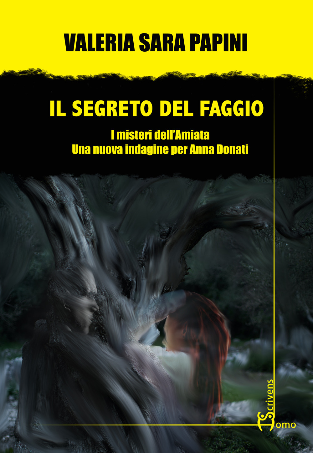 Il segreto del faggio. I misteri dell’Amiata. Una nuova indagine per Anna Donati