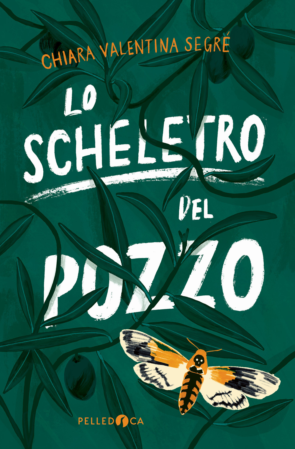 Lo scheletro del pozzo