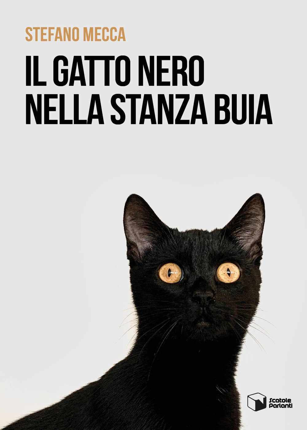 Il gatto nero nella stanza buia