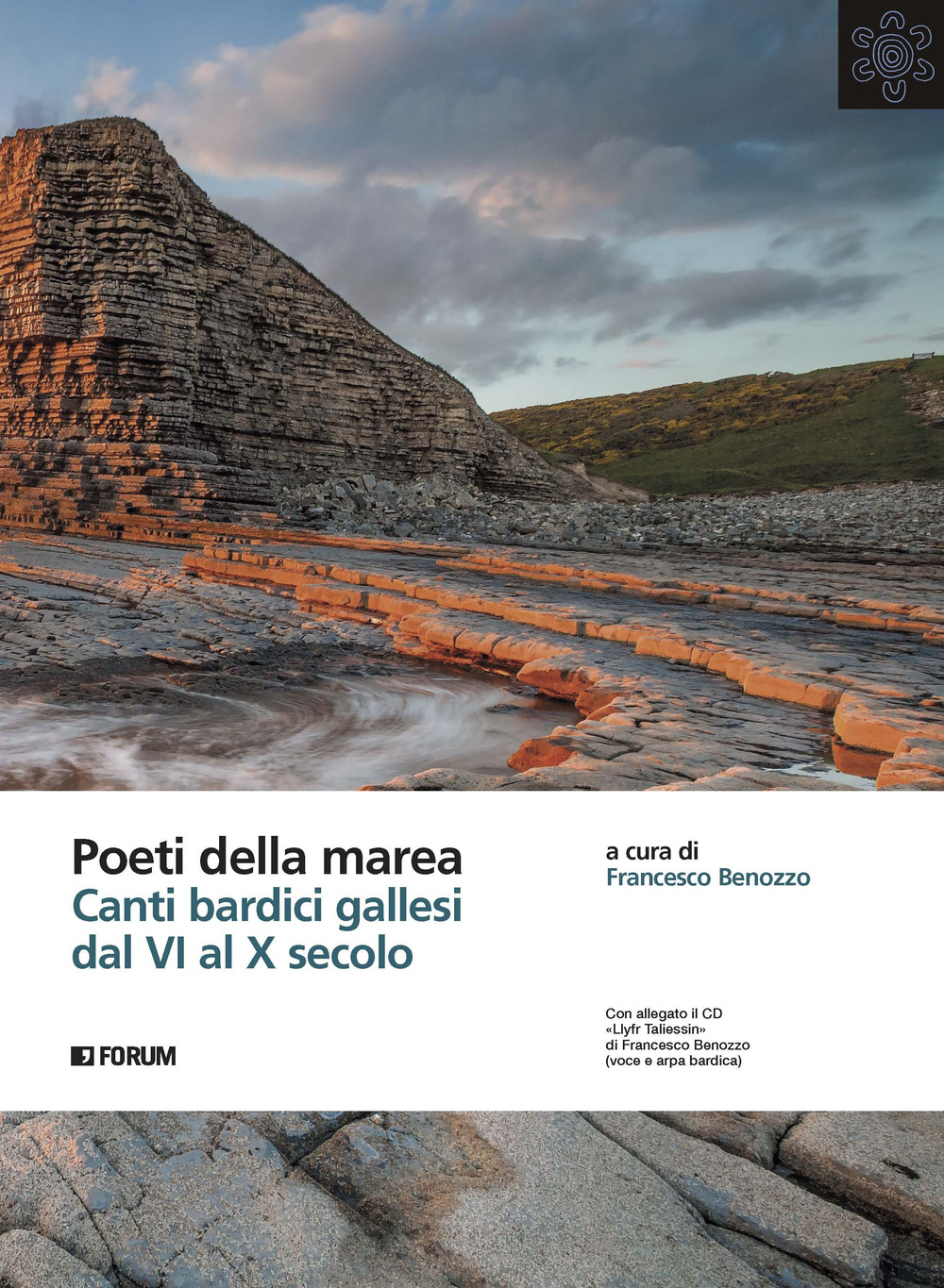 Poeti della marea. Canti bardici gallesi dal VI al X secolo