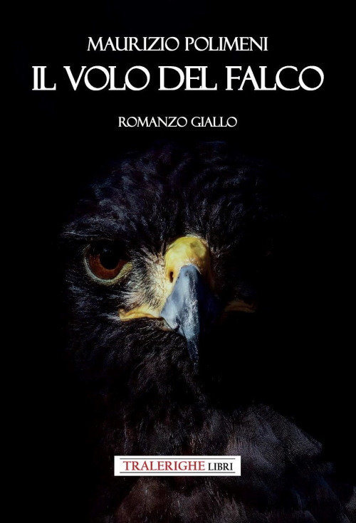 Il volo del falco