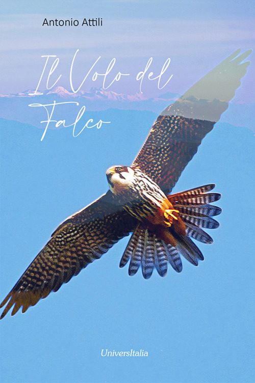 Il volo del falco