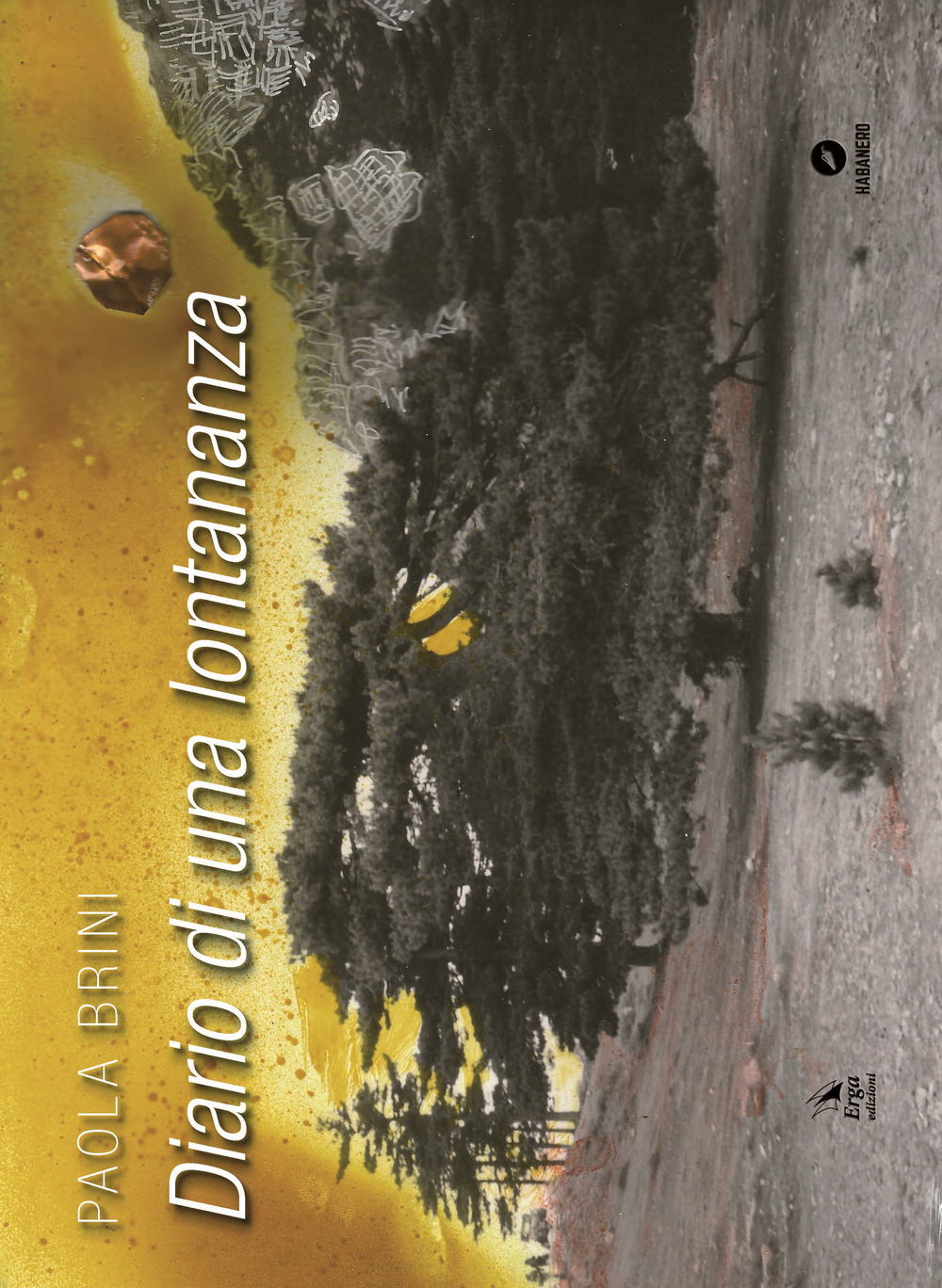 Diario di una lontananza