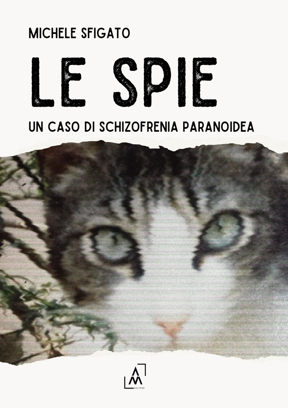Le spie. Un caso di schizofrenia paranoidea