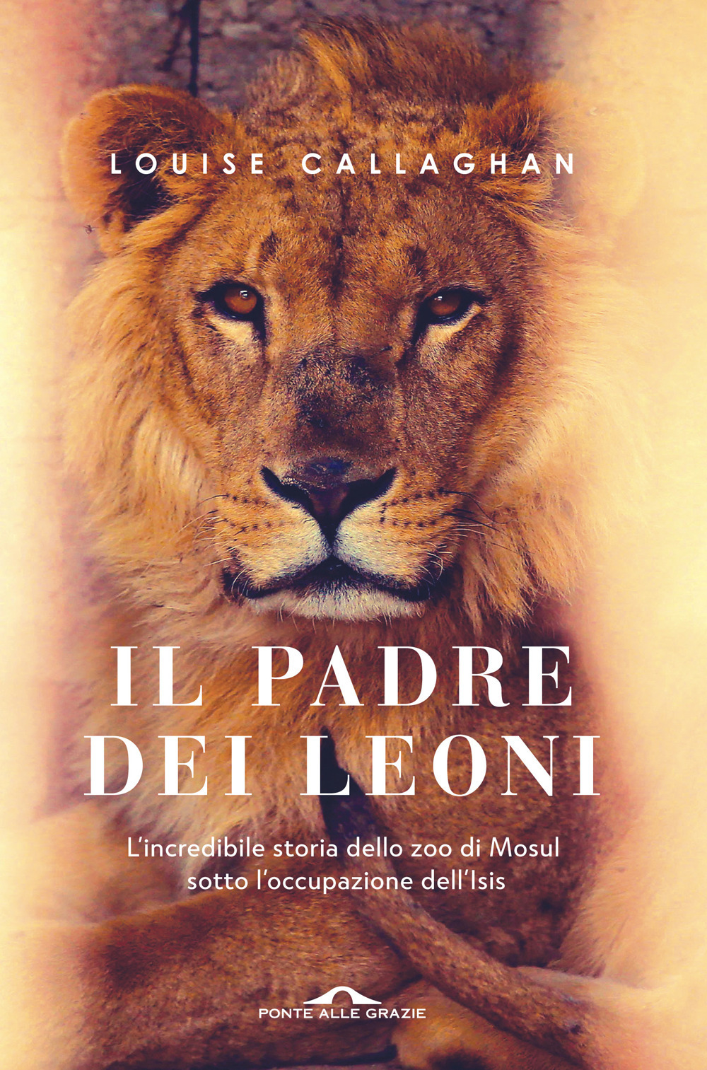 Il Padre dei leoni