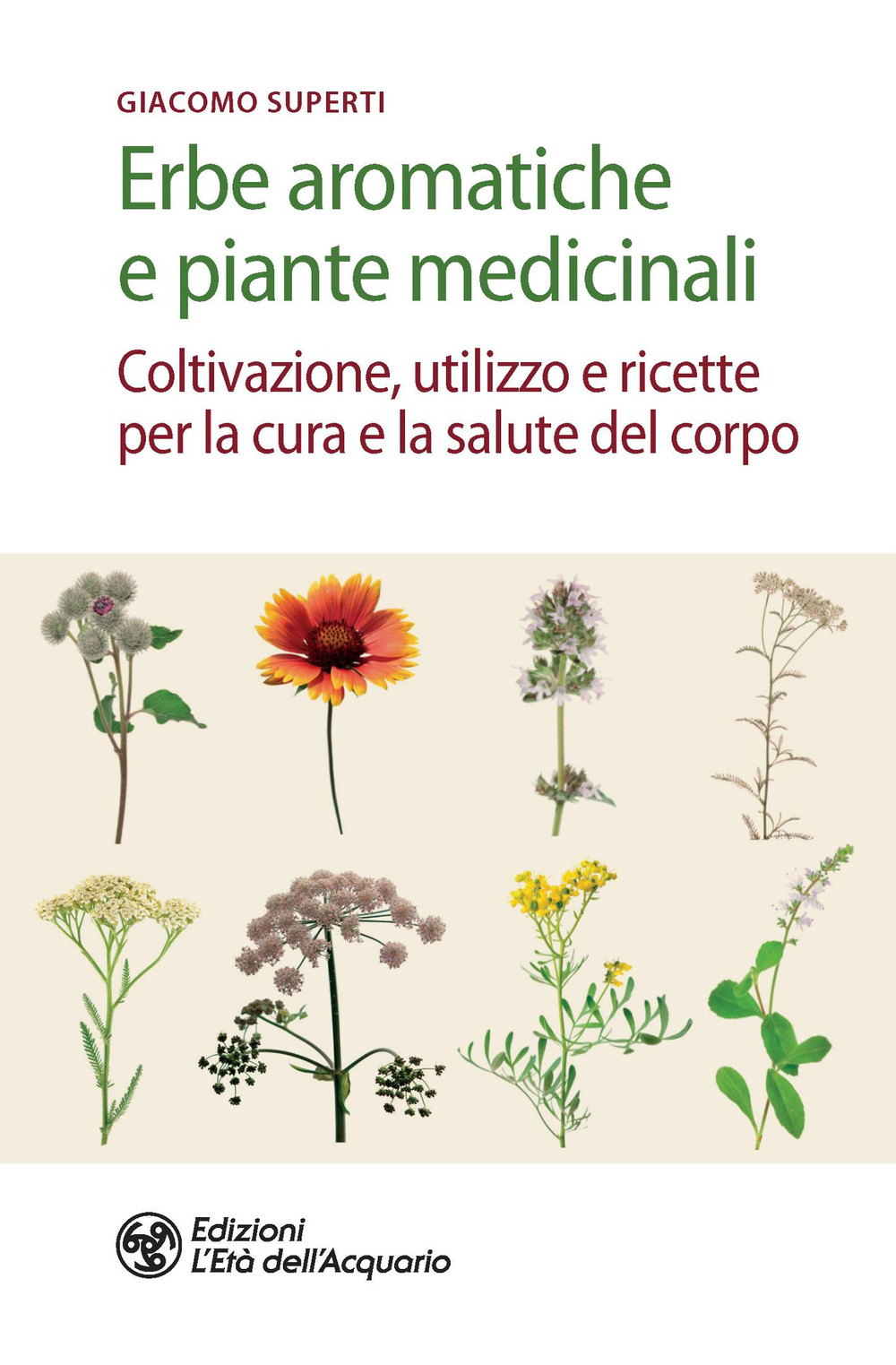 Erbe aromatiche e piante medicinali. Coltivazione, utilizzo e ricette per la cura e la salute del corpo