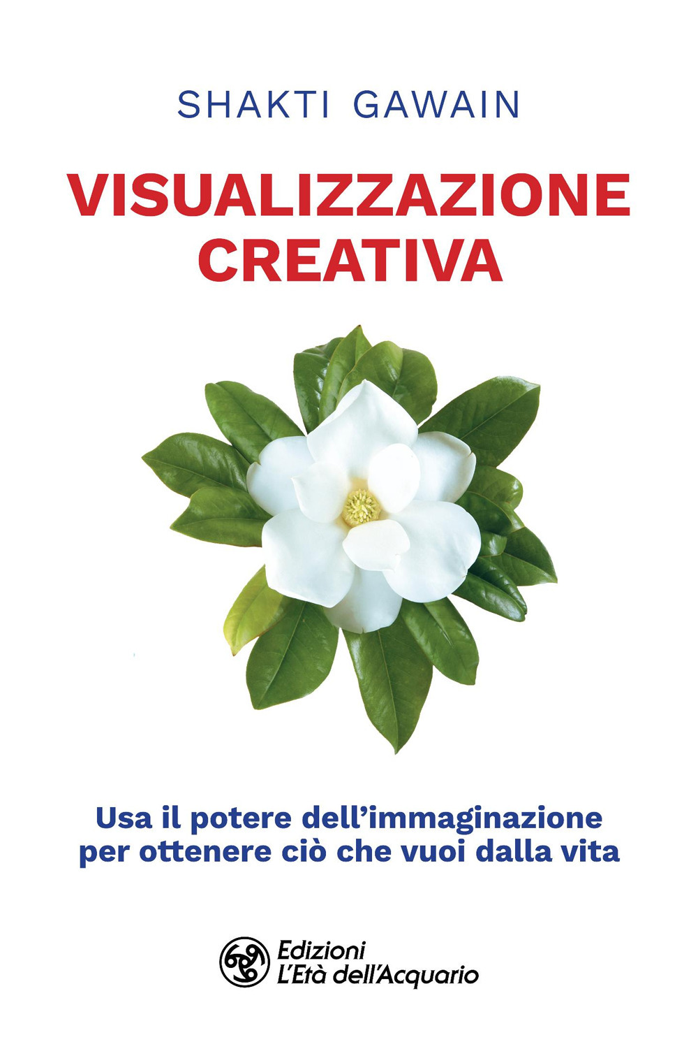 Visualizzazione creativa. Usa il potere dell'immaginazione per ottenere ciò che vuoi dalla vita