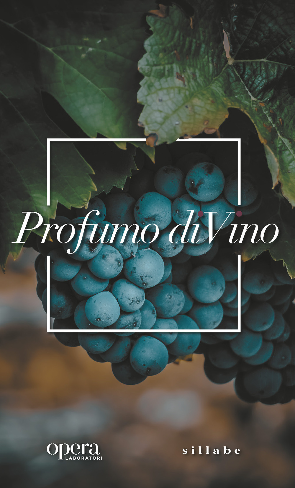 Profumo di vino