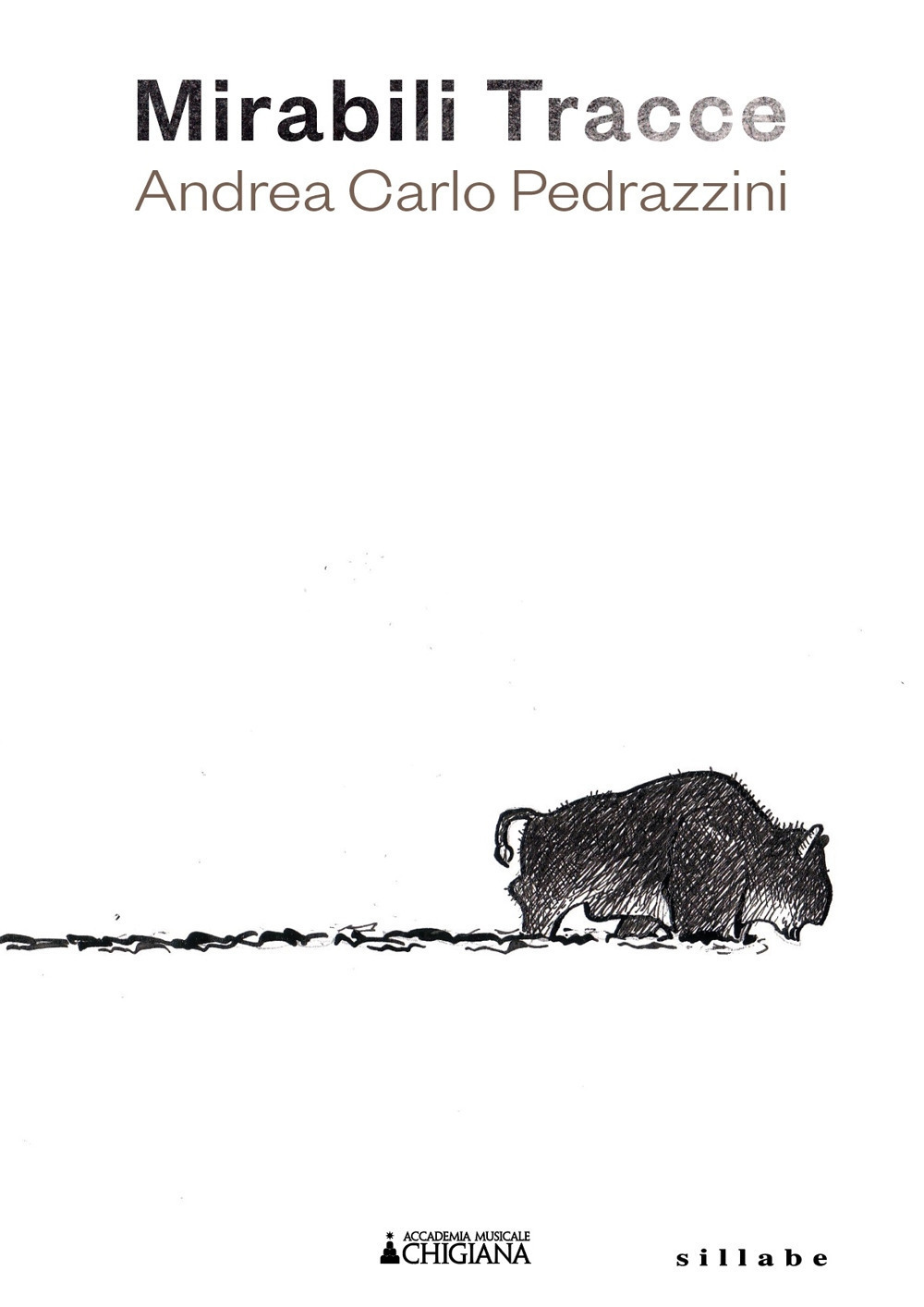 Mirabili tracce. Andrea Carlo Pedrazzini