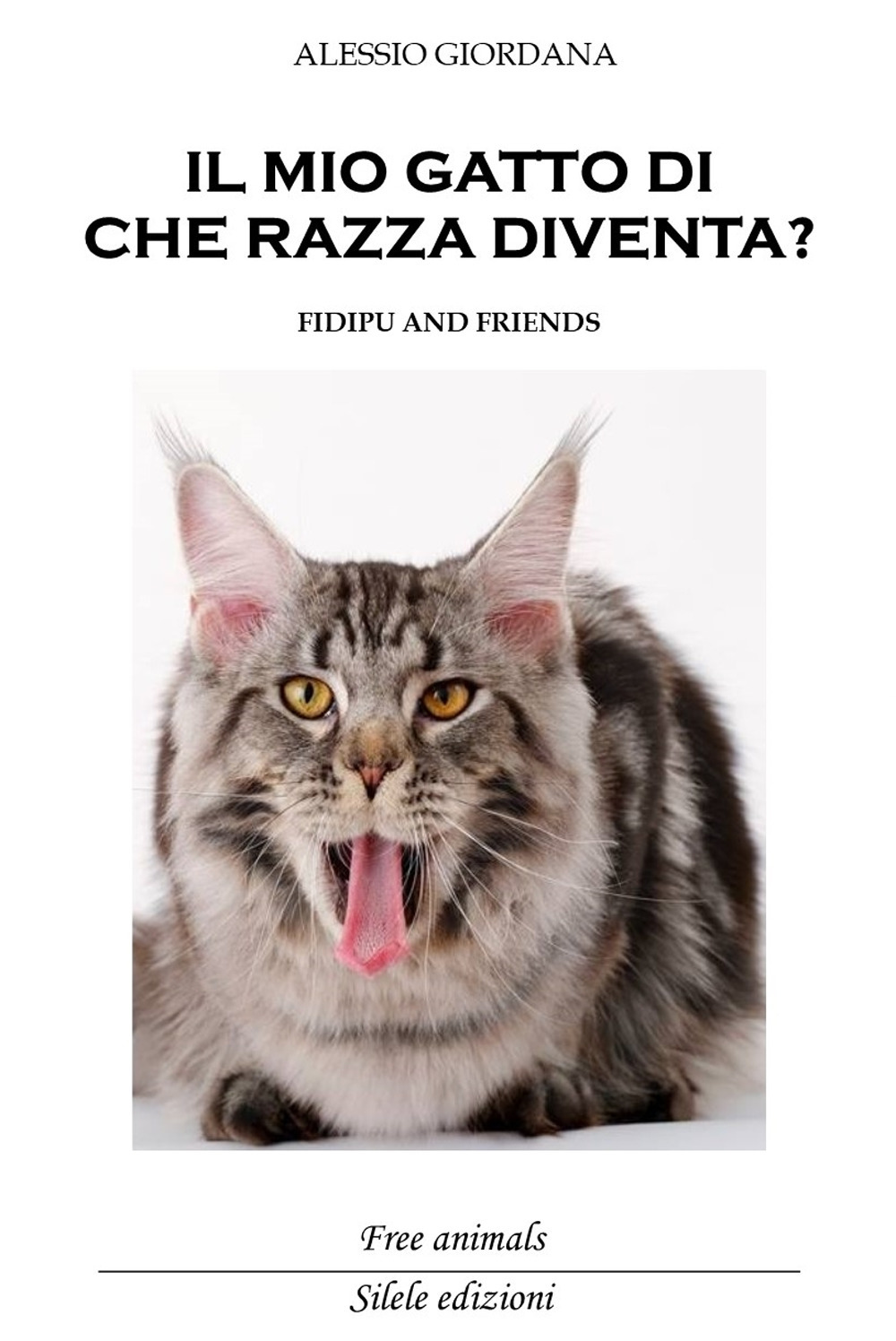 Il mio gatto di che razza diventa? Fidipu and friends