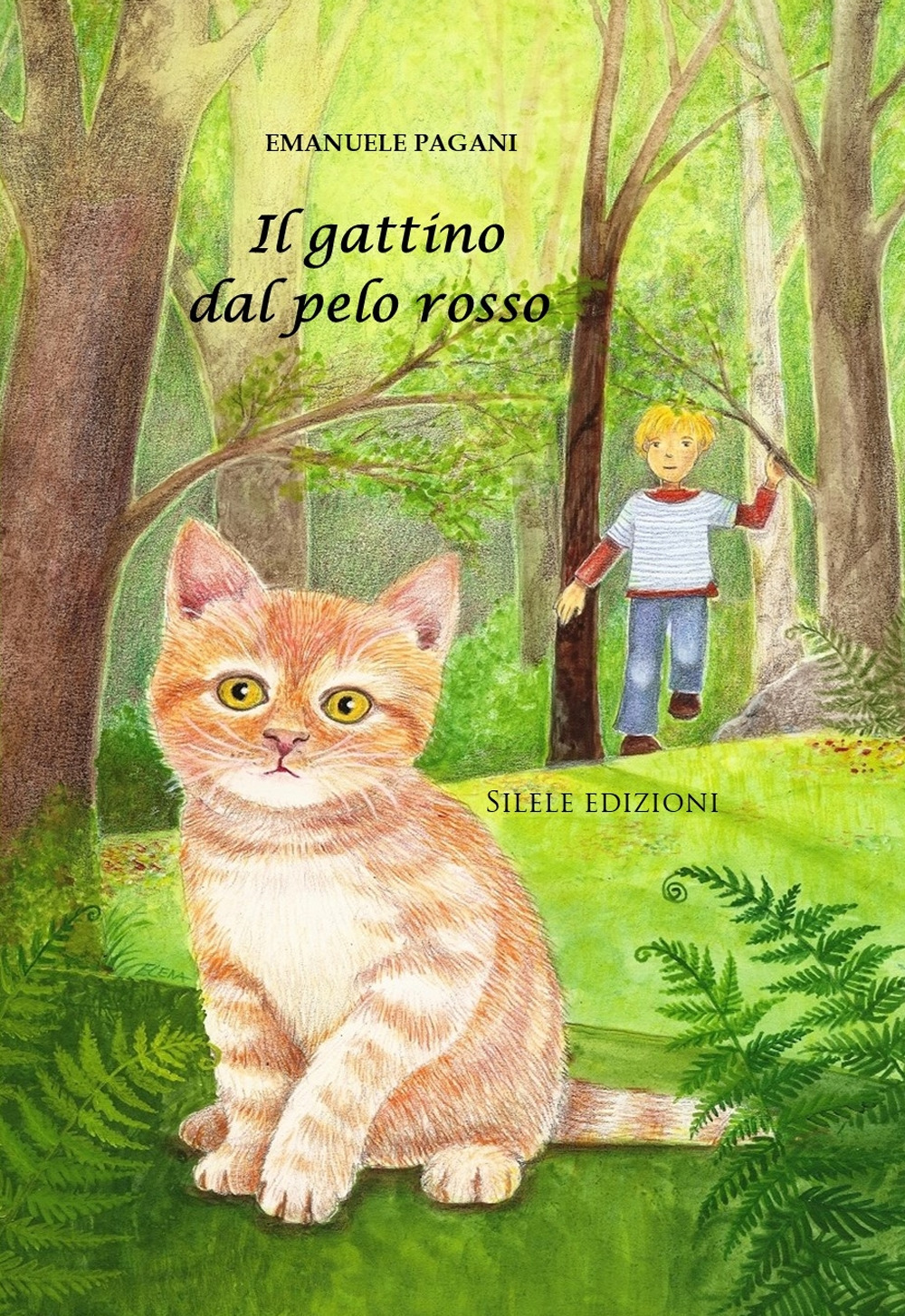 Il gattino dal pelo rosso