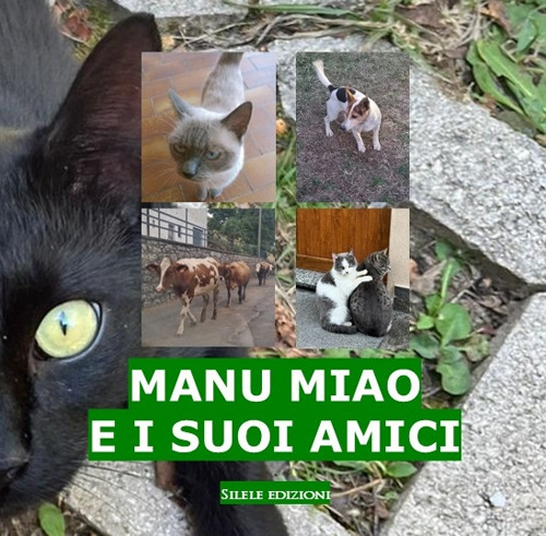 Manu Miao e i suoi amici
