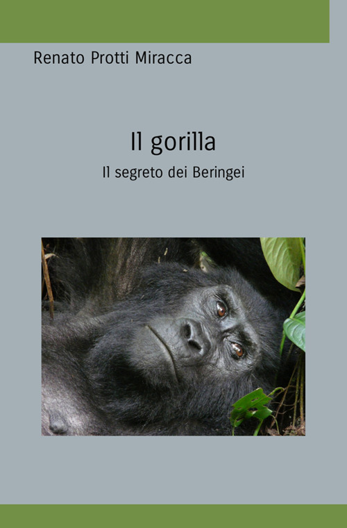 Il gorilla