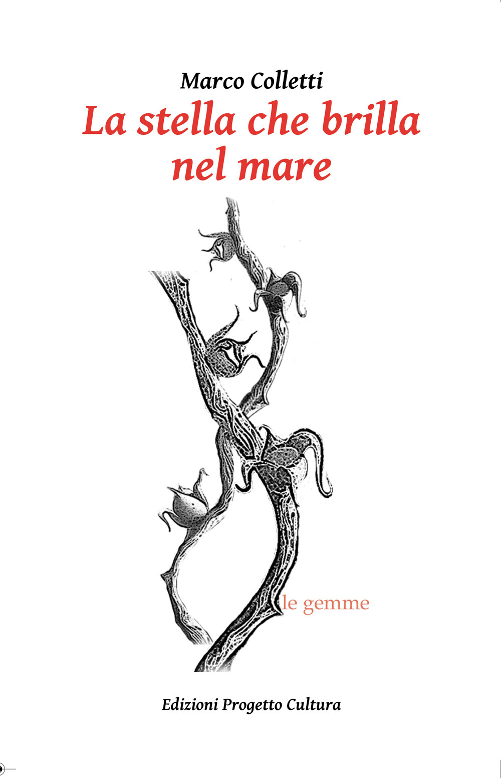 La stella che brilla nel mare