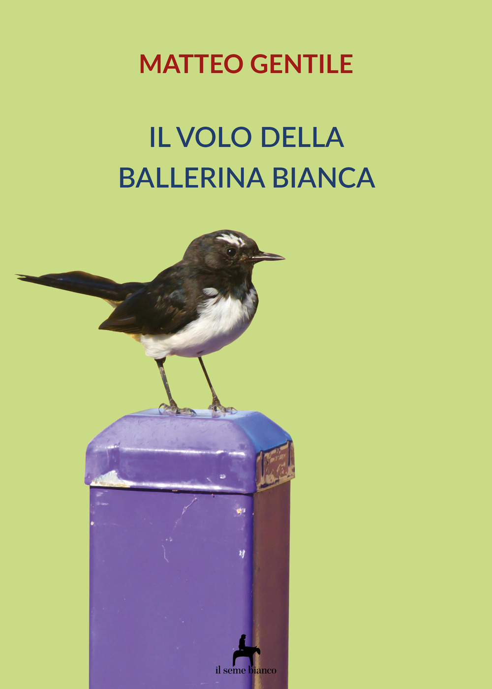 Il volo della ballerina bianca