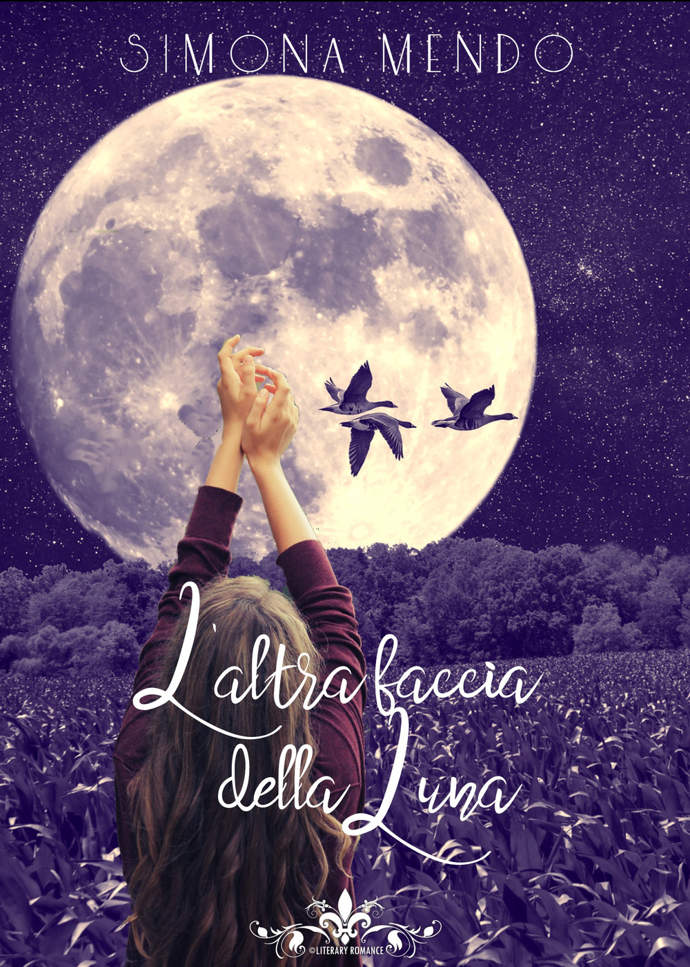 L'altra faccia della luna