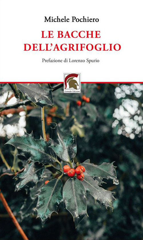 Le bacche dell'agrifoglio