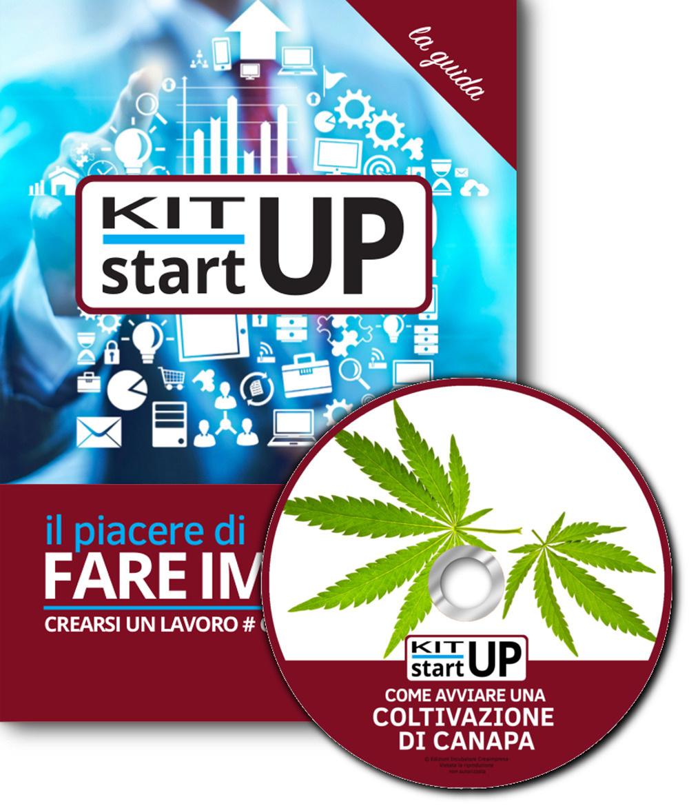 Come avviare una coltivazione di canapa