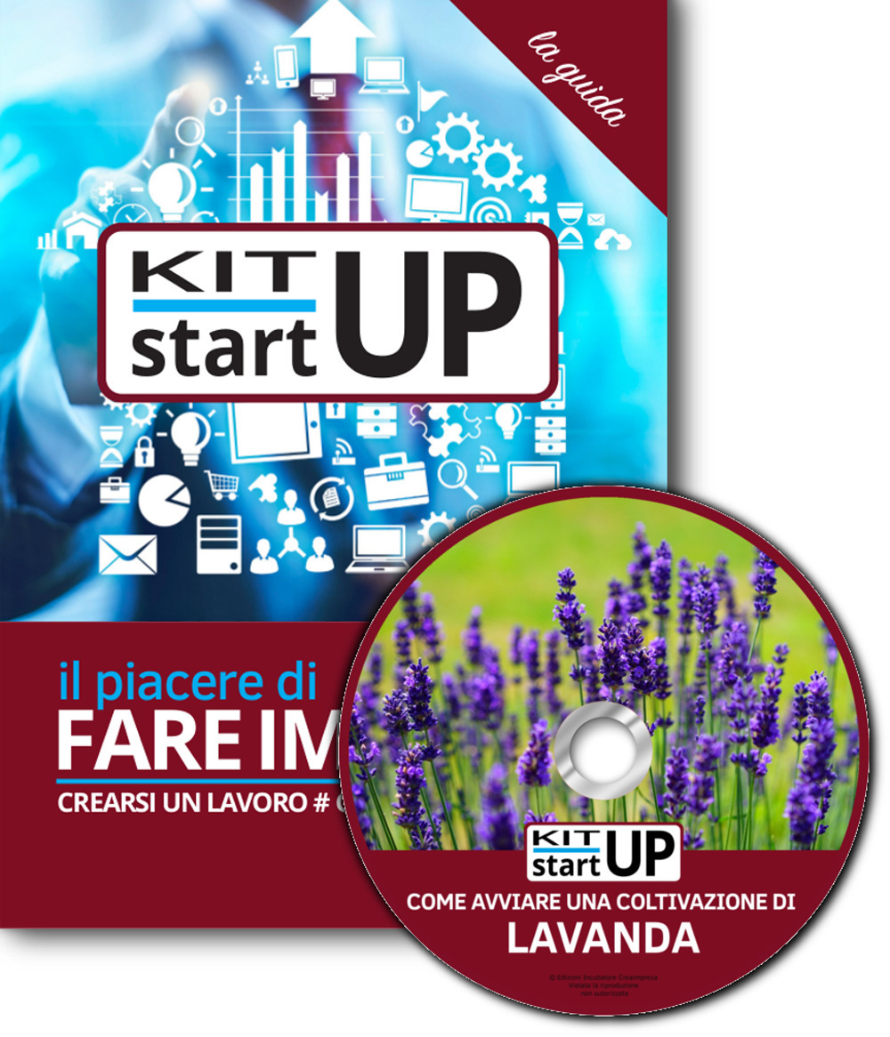 Come avviare una coltivazione di lavanda. Con aggiornamento 2018