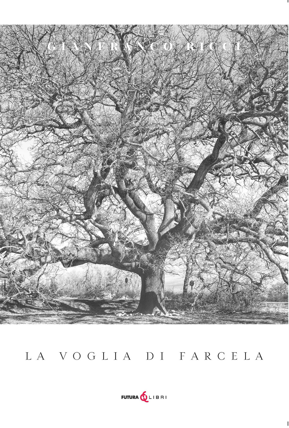 La voglia di farcela