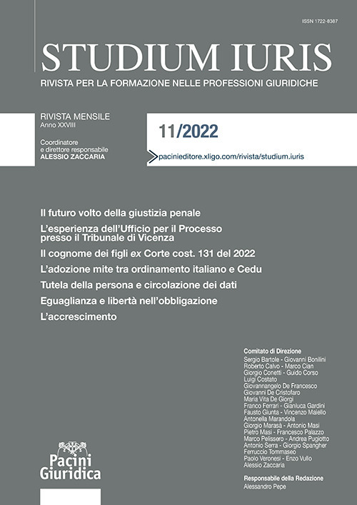 Studium iuris. Rivista per la formazione nelle professioni giuridiche. Vol. 11