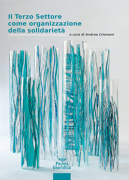 Il terzo settore come organizzazione della solidarietà