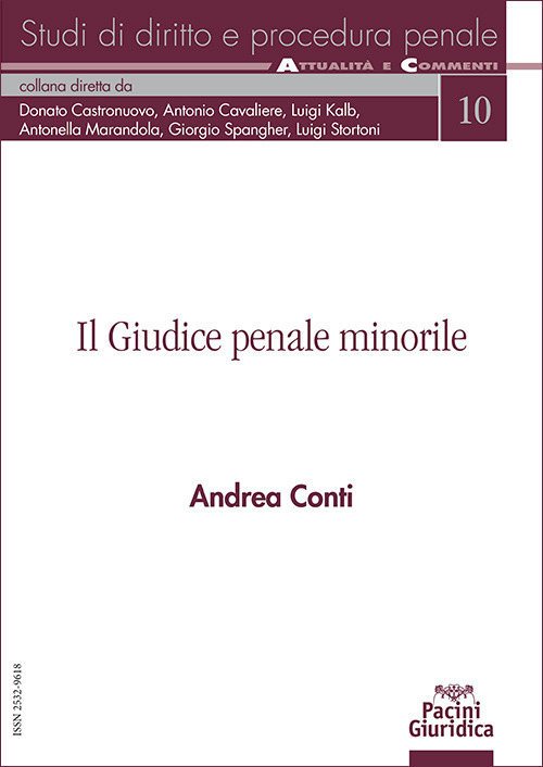 Il giudice penale minorile