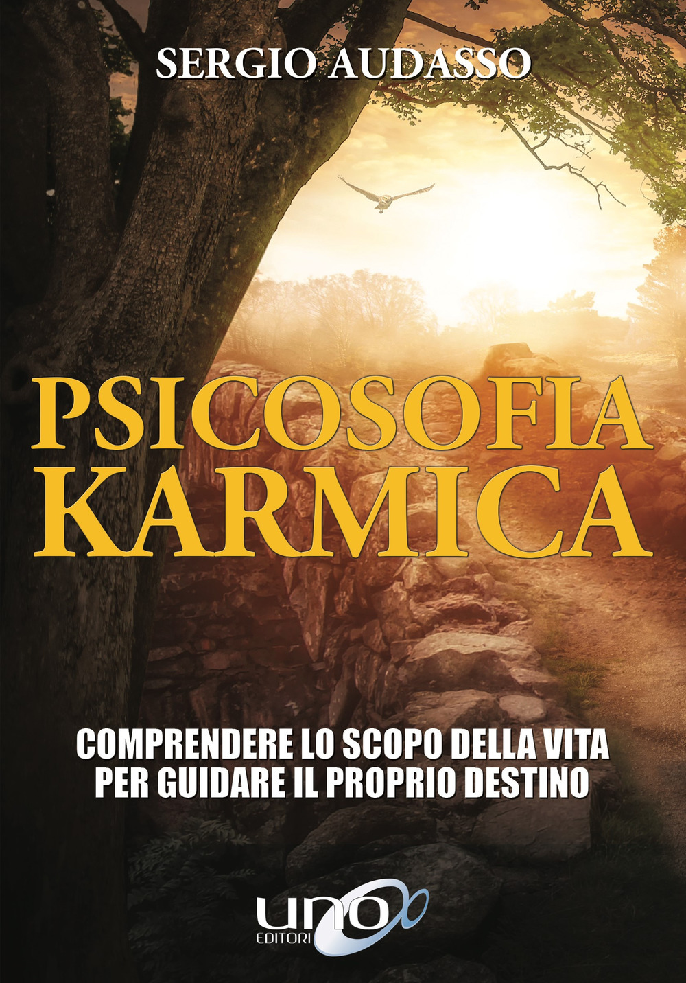 Psicosofia karmica. Comprendere lo scopo della vita per guidare il proprio destino