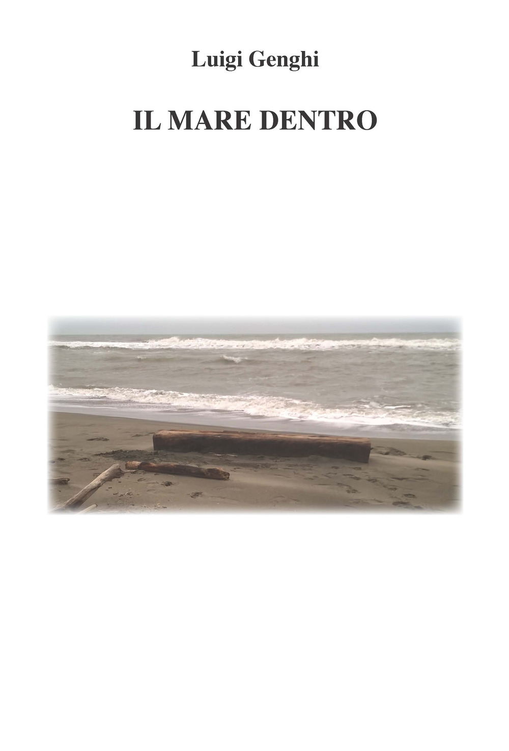Il mare dentro