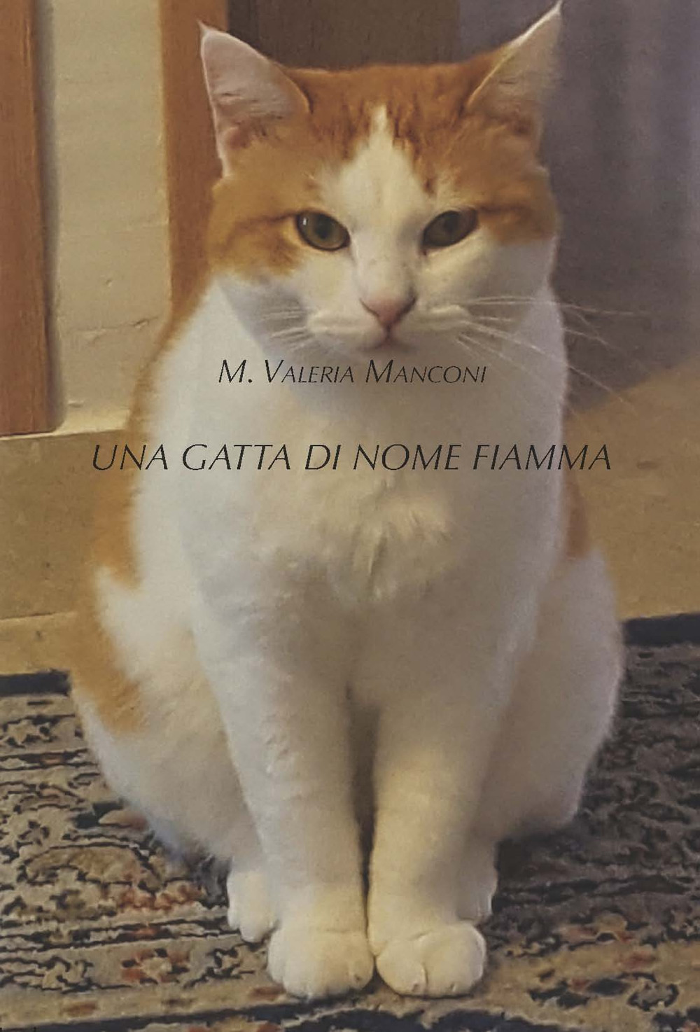 Una gatta di nome Fiamma