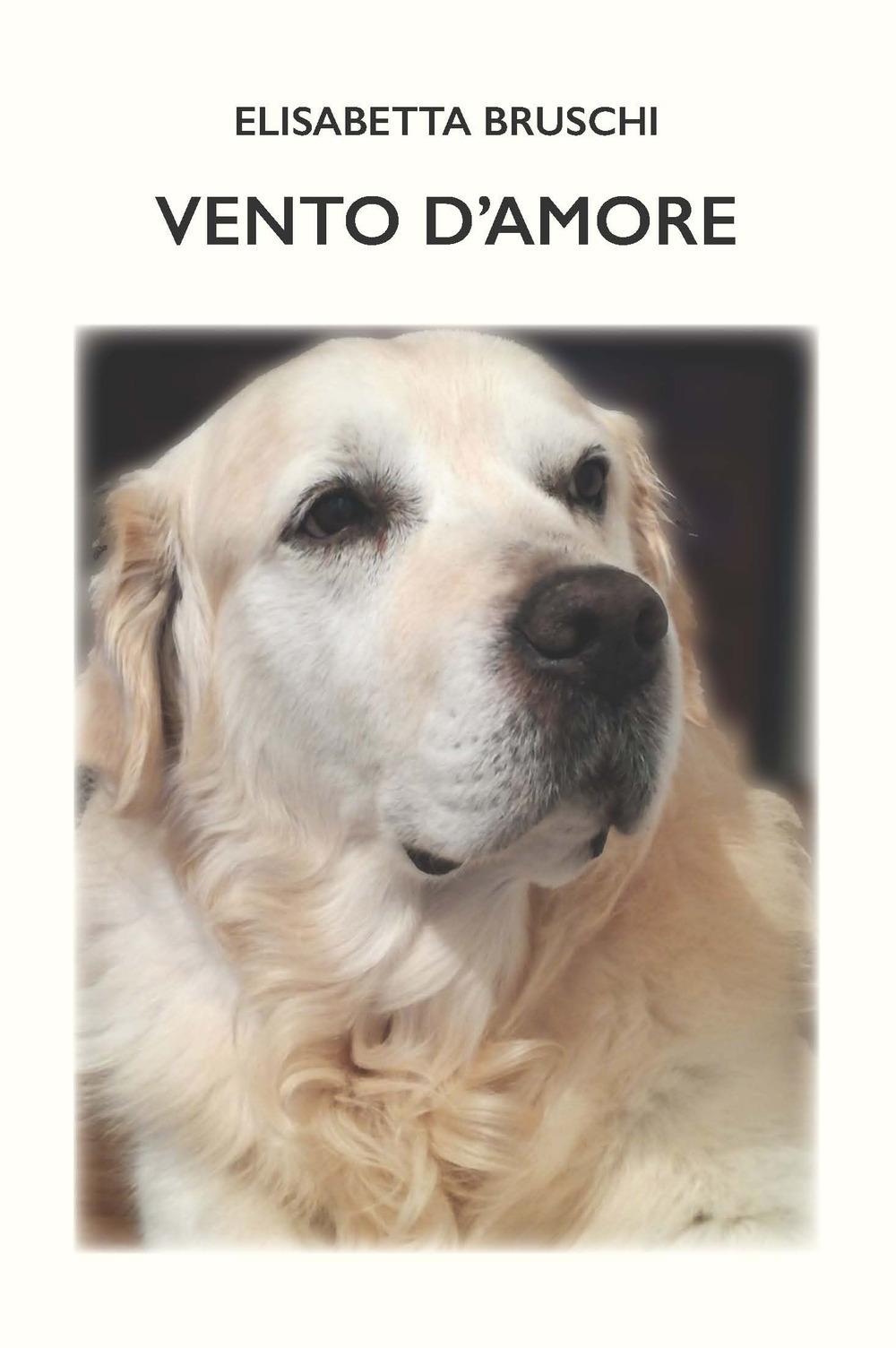Vento d'amore