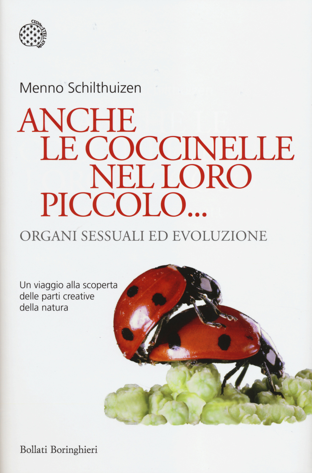Anche le coccinelle nel loro piccolo... Organi sessuali ed evoluzione