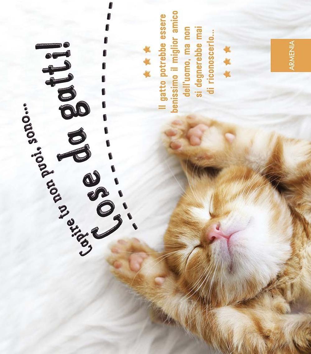 Capire tu non puoi, sono... cose da gatti!