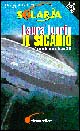 Il sicario