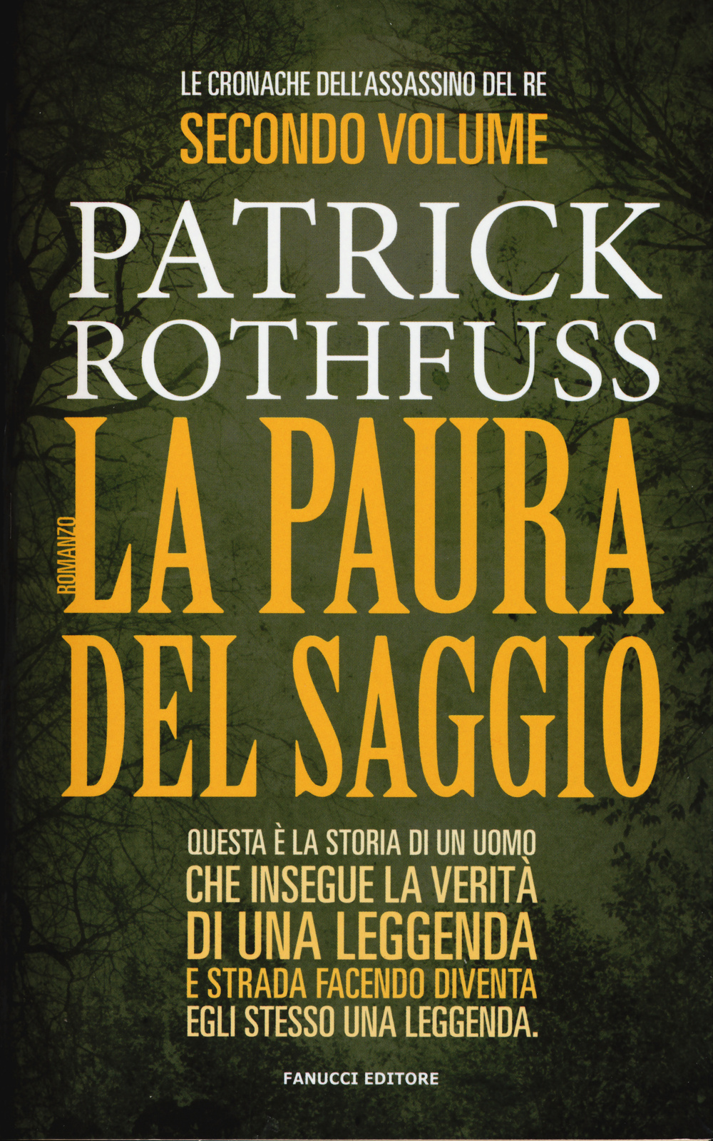 La paura del saggio. Le cronache dell'assasino del re. Vol. 2