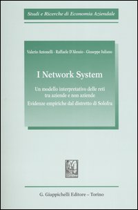 I network system. Un modello interpretativo delle reti tra aziende e non aziende. Evidenze empiriche dal distretto di Solofra