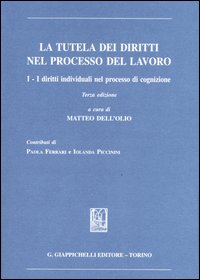 La tutela dei diritti nel processo del lavoro. Vol. 1: I diritti individuali nel processo di cognizione