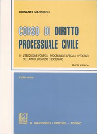 Corso di diritto processuale civile. Ediz. minore. Vol. 3: L'esecuzione forzata, i procedimenti speciali, i processi del lavoro, locatizio e societario
