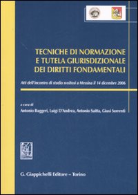 Tecniche di normazione e tutela giurisdizionale dei diritti fondamentali. Atti dell'incontro di studi (Messina, 14 dicembre 2006)