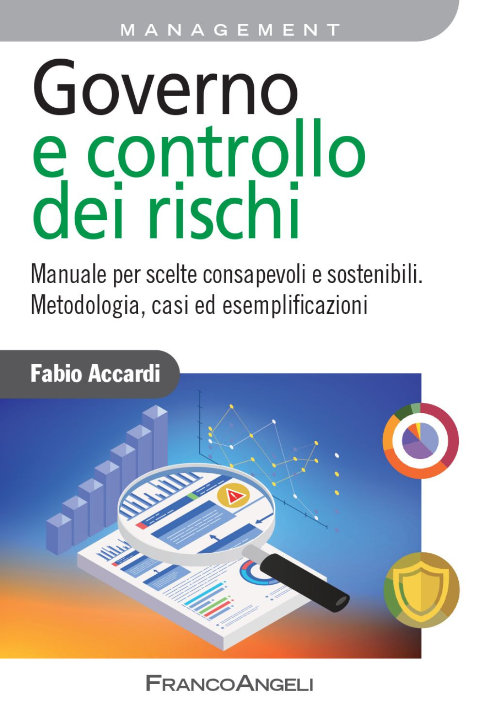Governo e controllo dei rischi. Manuale per scelte consapevoli e sostenibili. Metodologia, casi ed esemplificazioni
