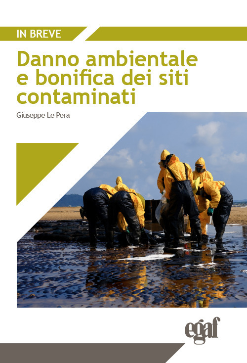 Danno ambientale e bonifica dei siti contaminati