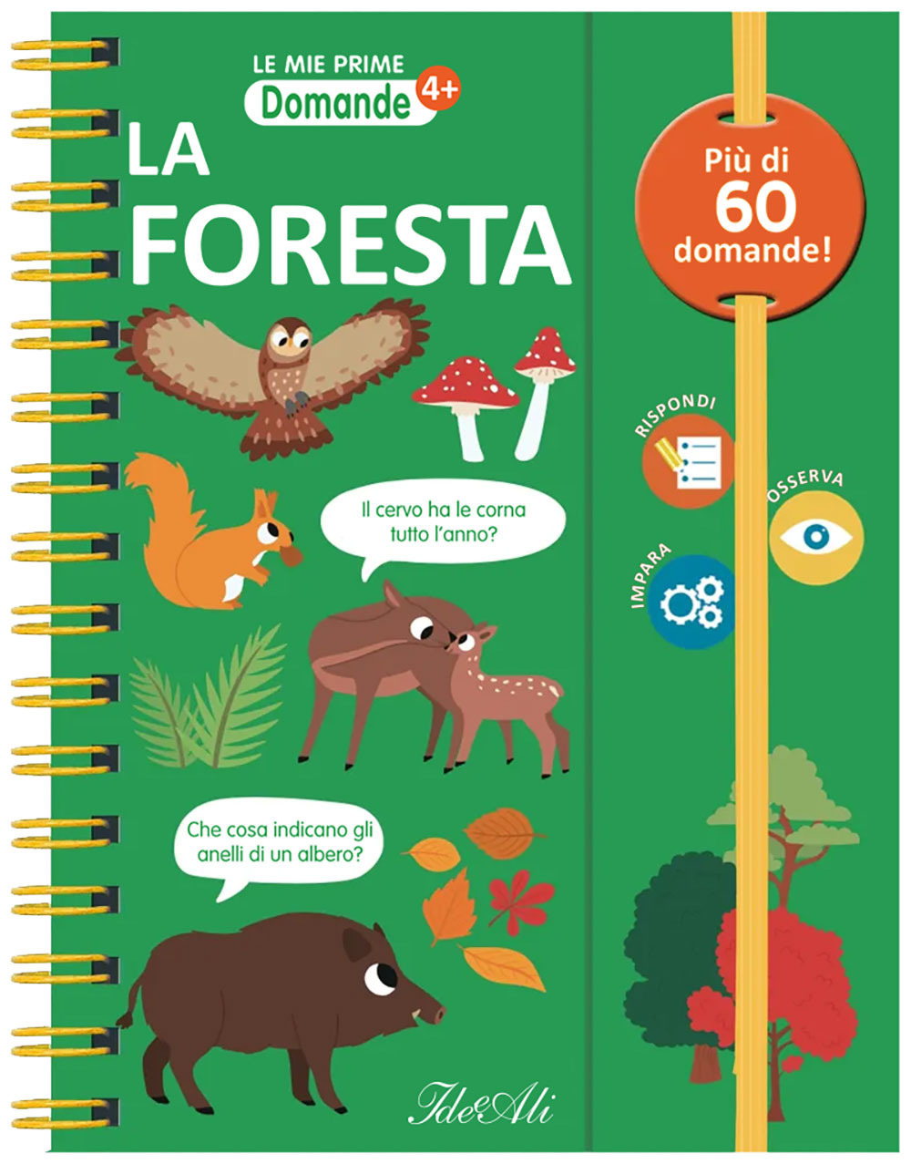 La foresta. Le mie prime domande