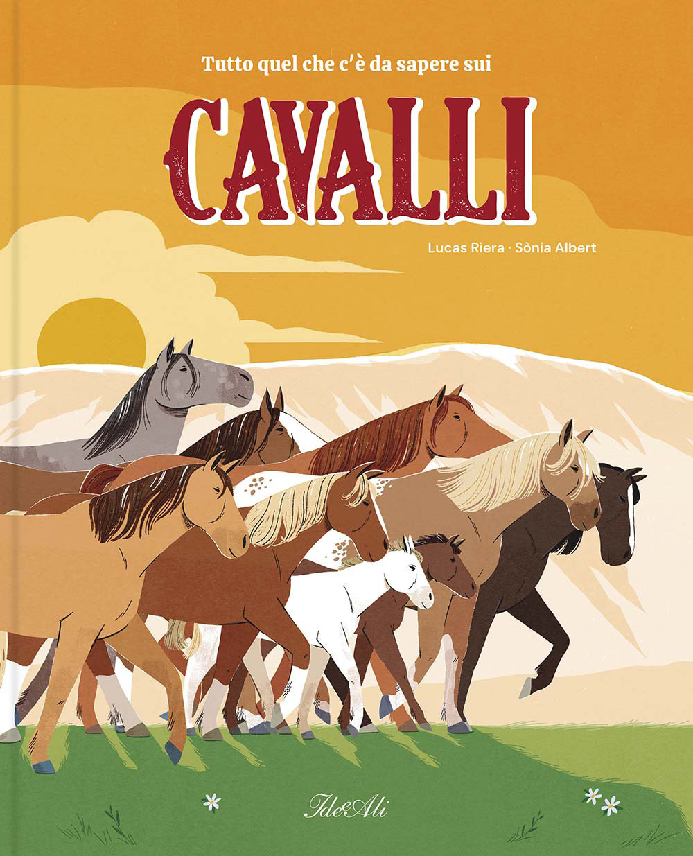 Tutto quello che c'è da sapere sui cavalli