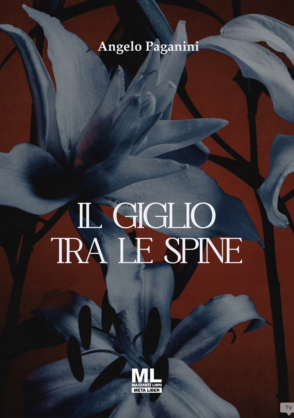 Il giglio tra le spine